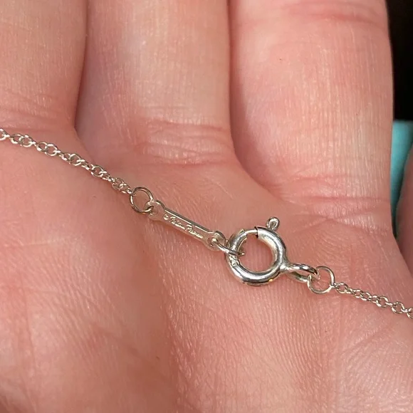 Tiffany & Co. Paloma Picasso Graffiti “Wish” necklace - Picture 3 of 3